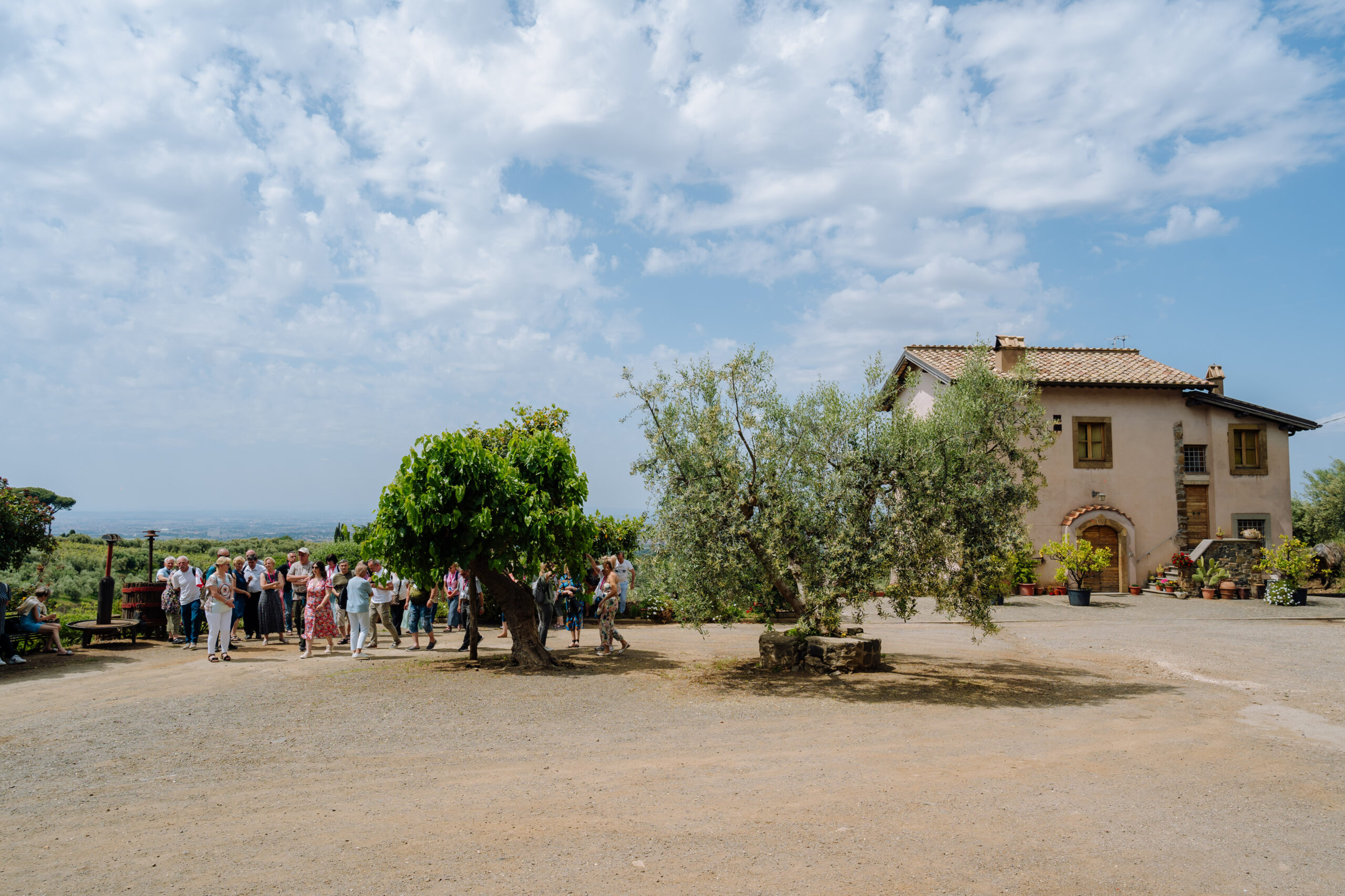 Frascati Winetasting  Experience | Vineyard & Grotto Tour